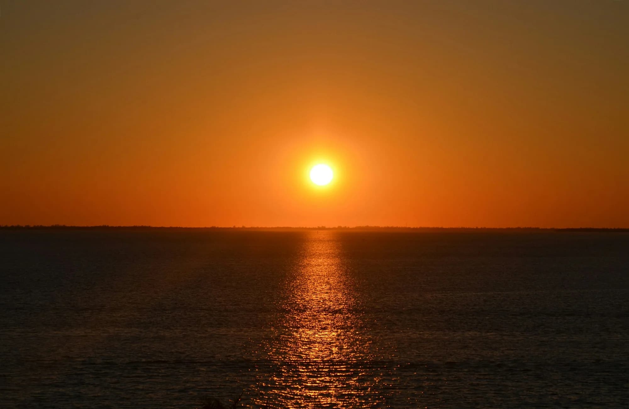 The Gulf coast near Fort Myers at sunset.