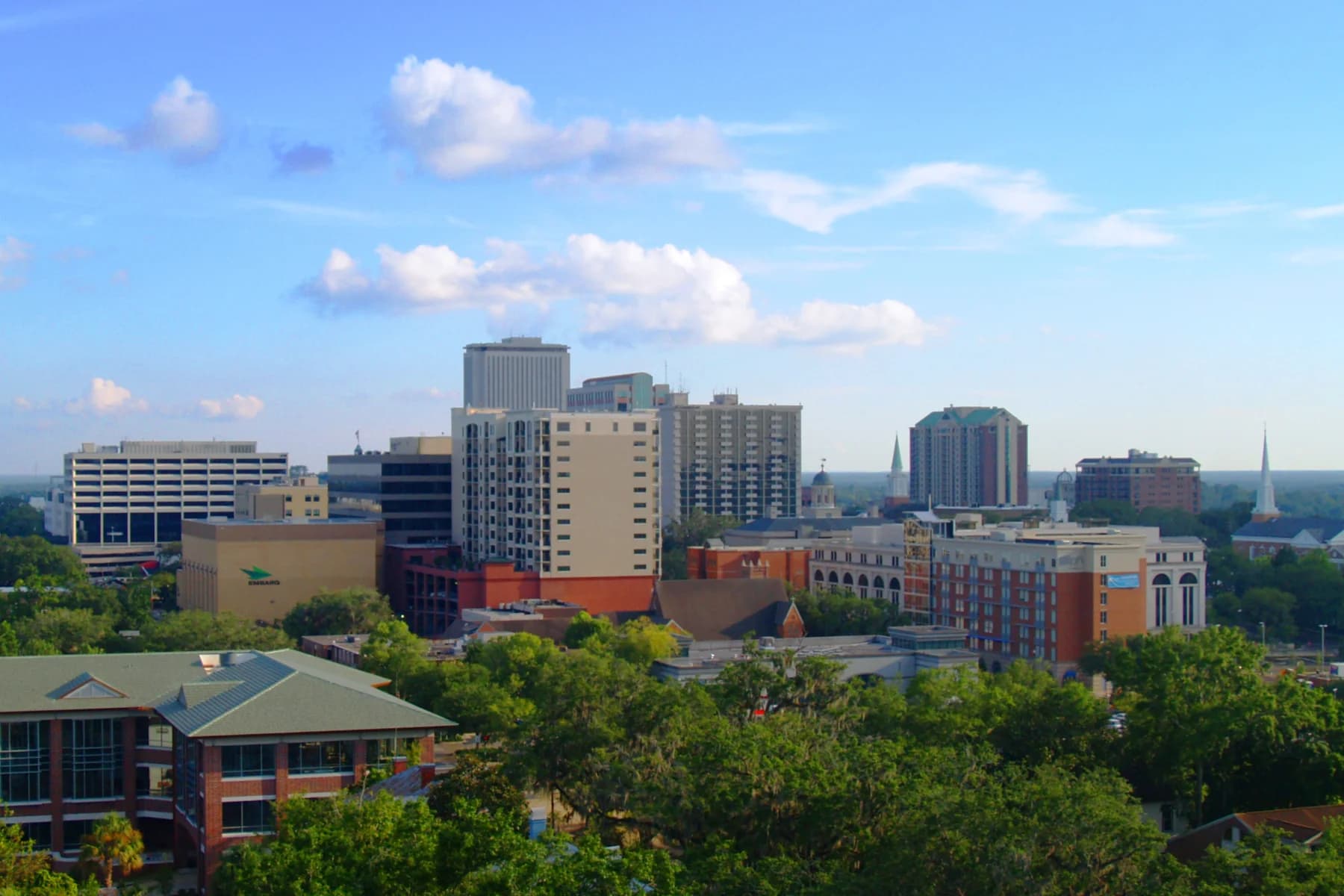 The downtown Tallahassee skyline above a broad canopy of trees.