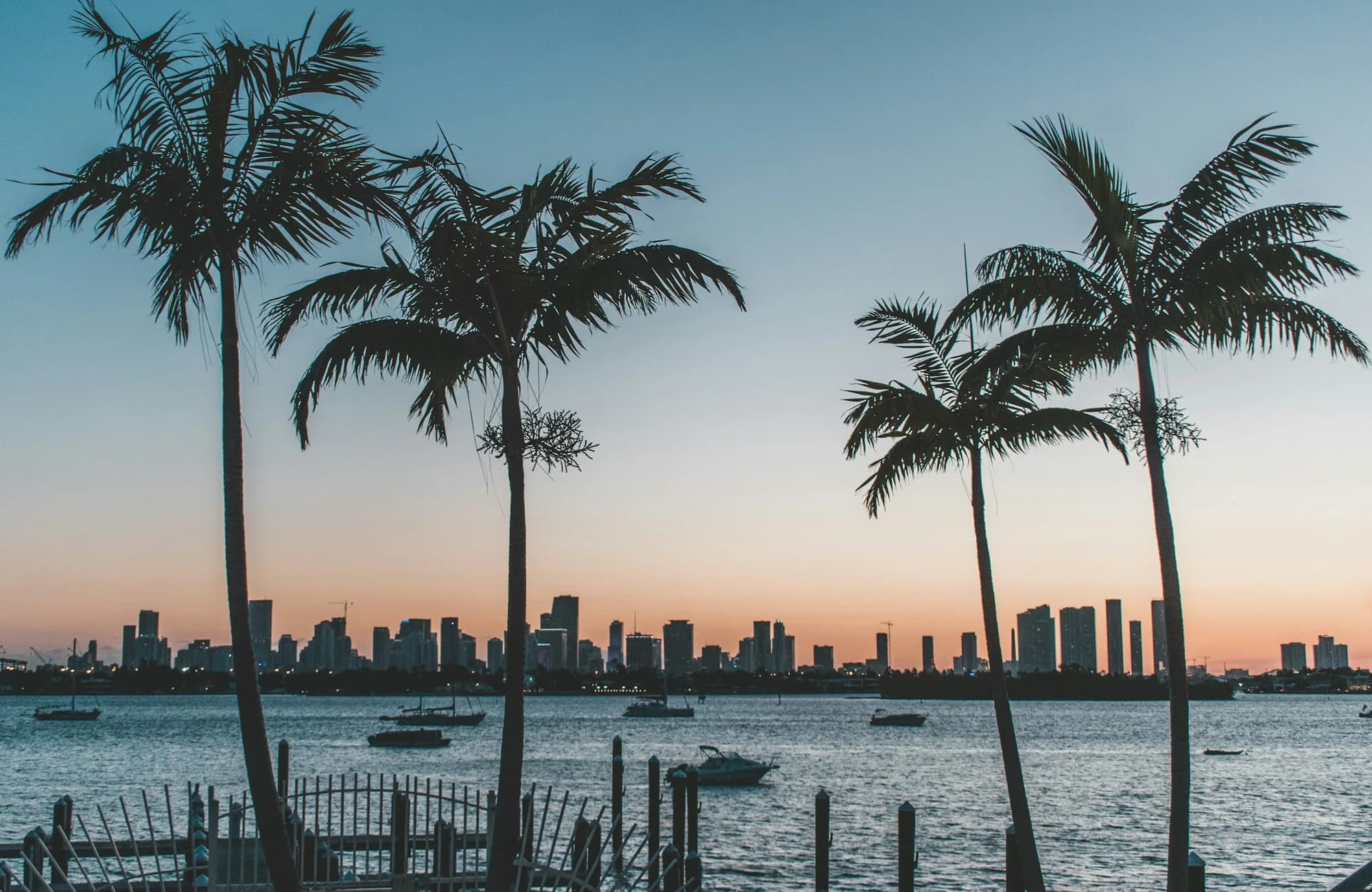 Palm trees silhouetted against a Miami Beach sunset.