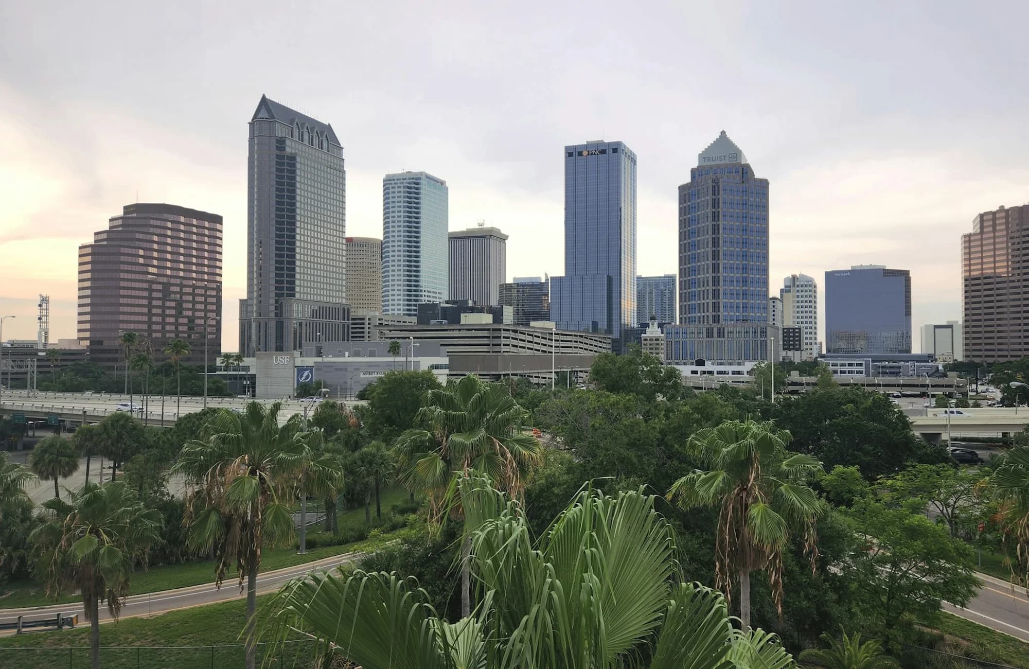 Palm trees framing the Tampa skyline.