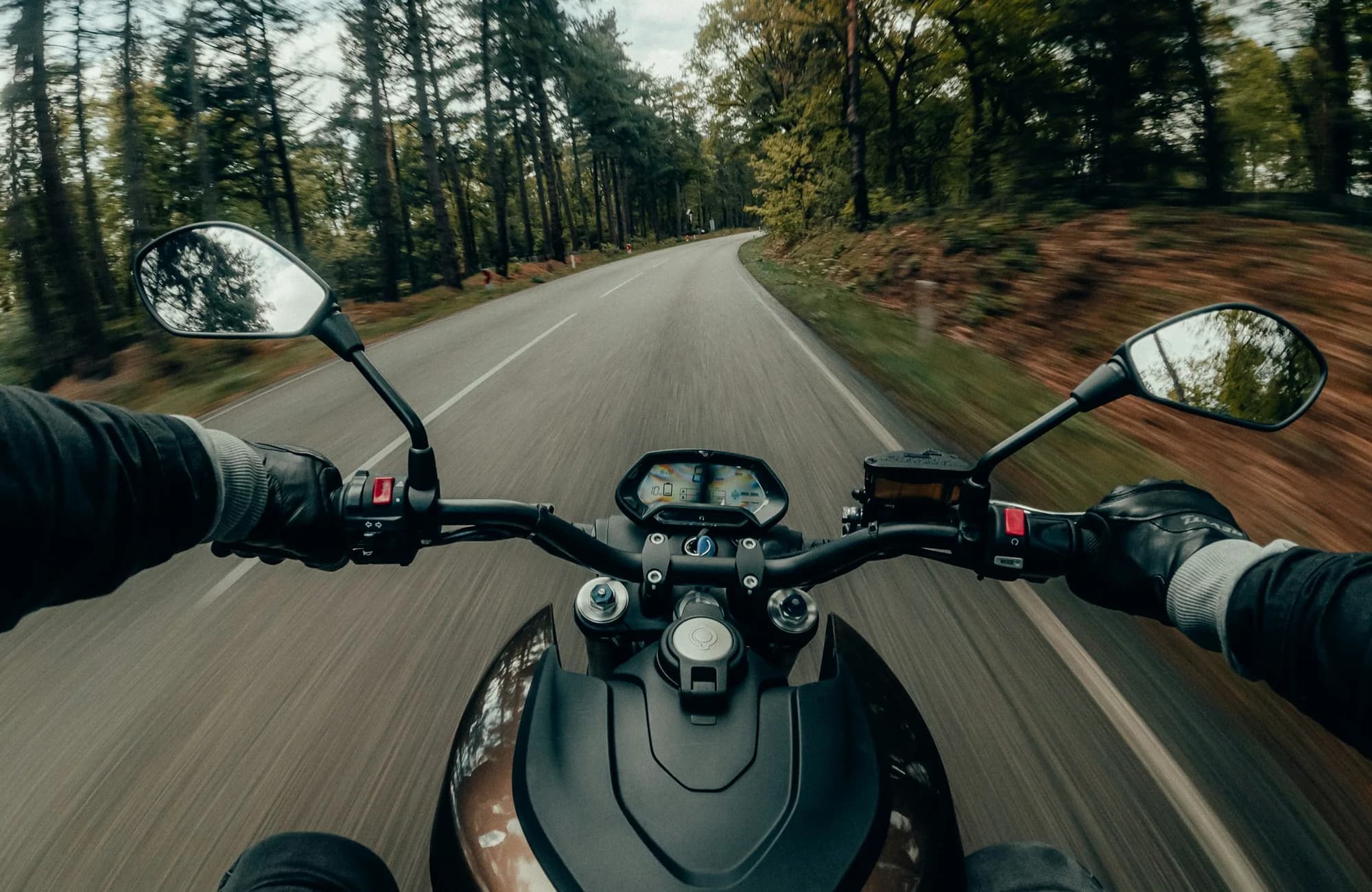 A rider's view from a motorcycle traveling along a winding forest road.